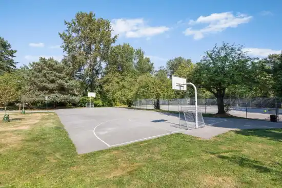 Alderwood