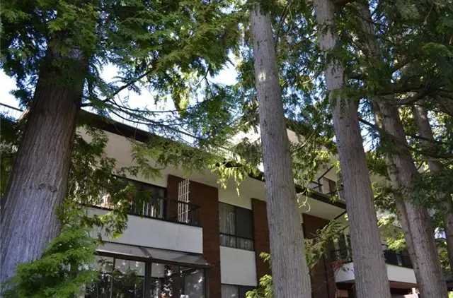 New Listings in White Rock — July 2026
