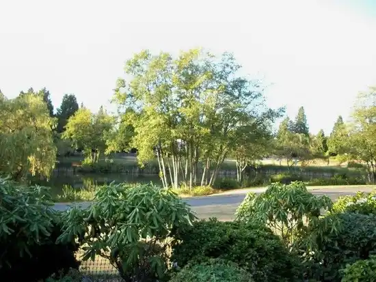 Englesea - photo 3 of 8