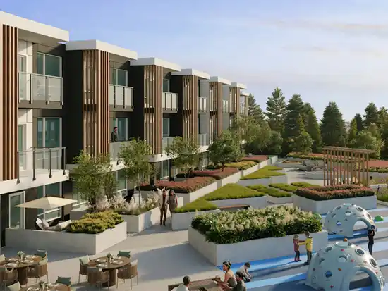 Harlowe - photo 2 of 5