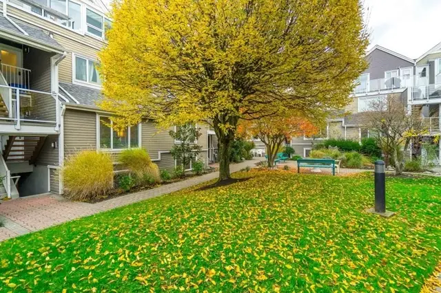 New Listings in White Rock — August 2026
