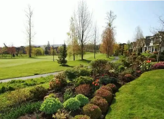Wedgewood - photo 4 of 9