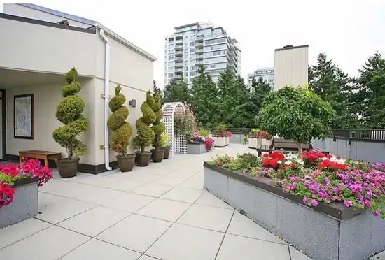 White Rock Square 2 - photo 3 of 6