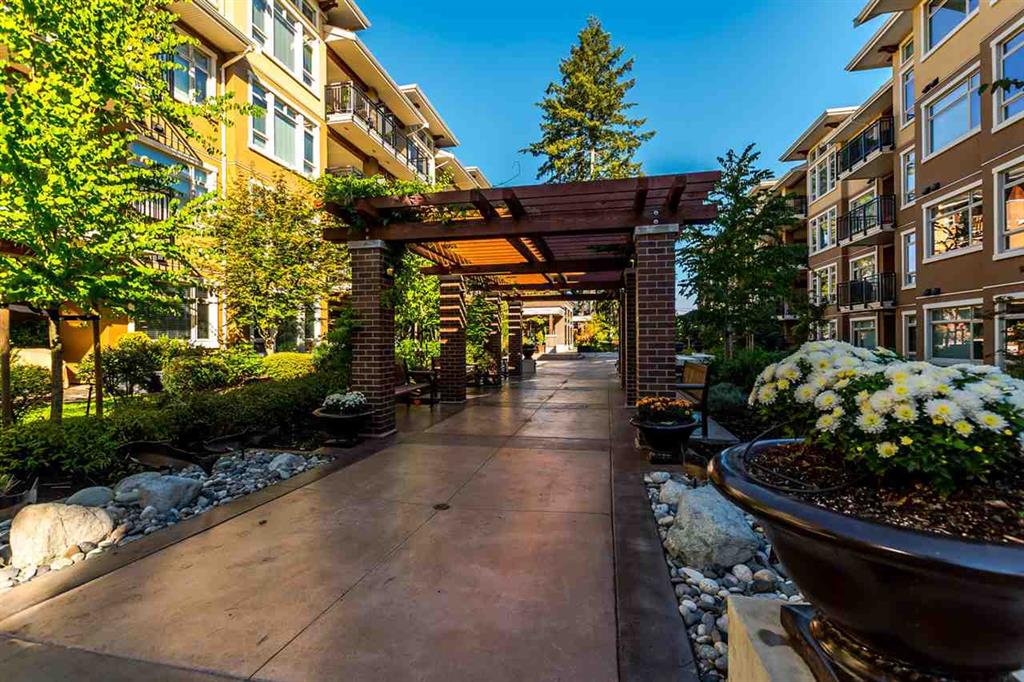 Adagio - photo 2 of 5