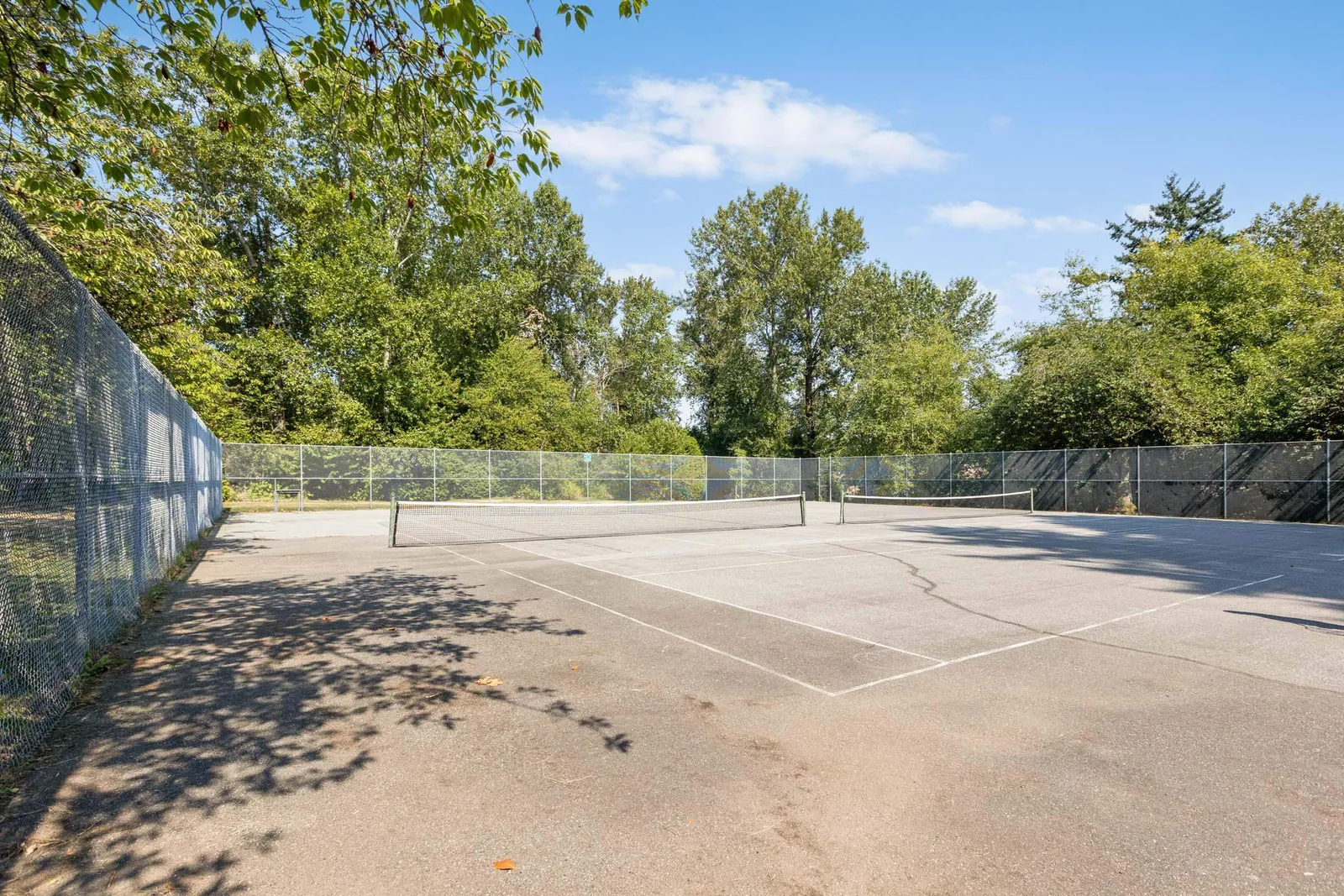 Alderwood - photo 2 of 2