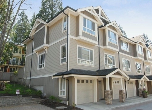 Arista - photo 3 of 9