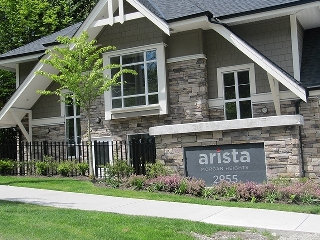 Arista - photo 4 of 9