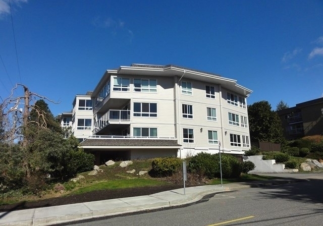 Blue Spruce - photo 2 of 3