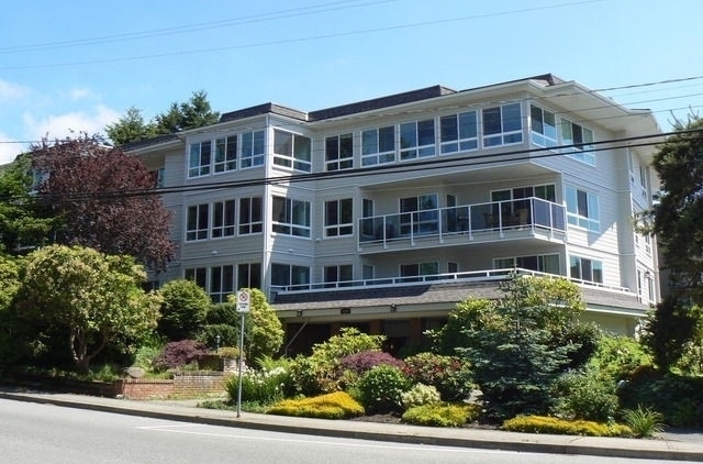 Blue Spruce - photo 3 of 3