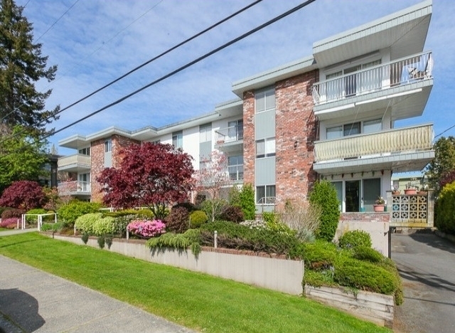 Blue Surf - photo 2 of 2