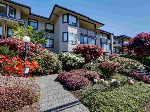 Capistrano - photo 4 of 4