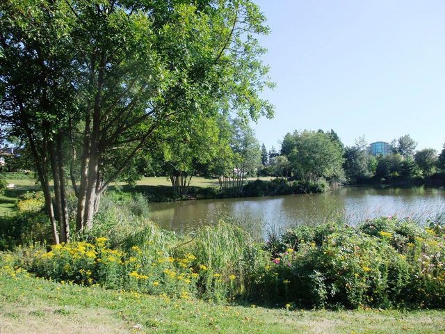 Capstan Way - photo 4 of 13