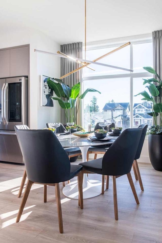 Carson - photo 2 of 13