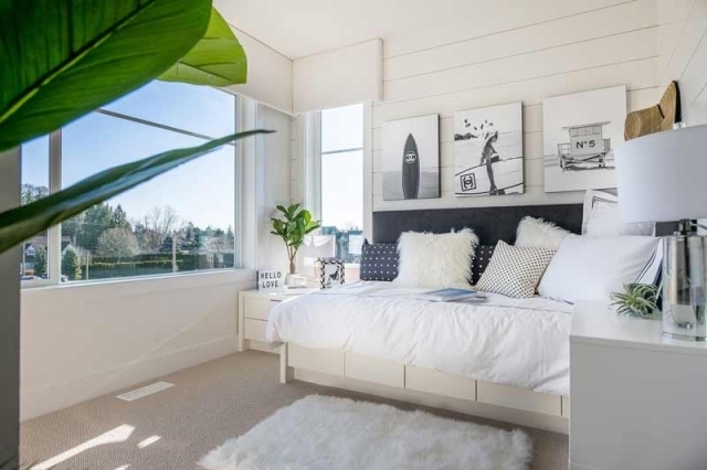 Carson - photo 3 of 13