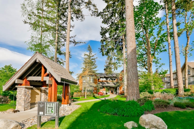 Cathedral Grove - photo 4 of 15