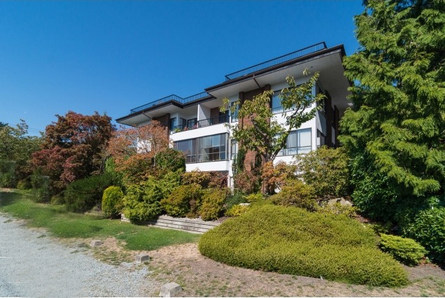 Cedars - photo 3 of 5