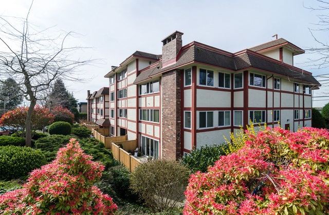 Chestnut Village - photo 3 of 6