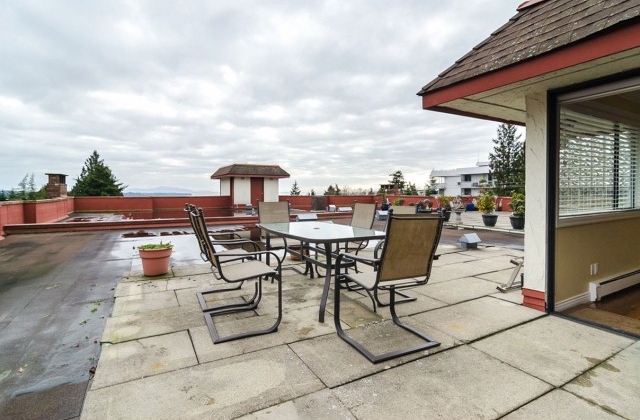 Chestnut Village - photo 4 of 6