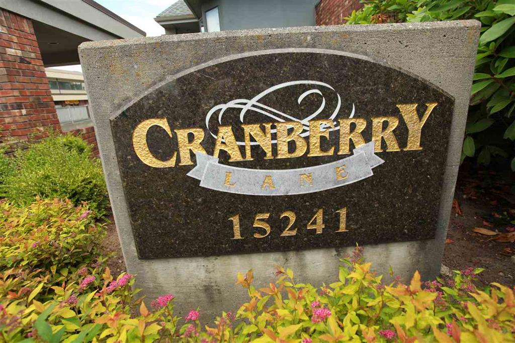 Cranberry Lane - photo 2 of 6