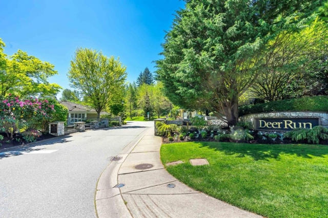 Deer Run - photo 4 of 6