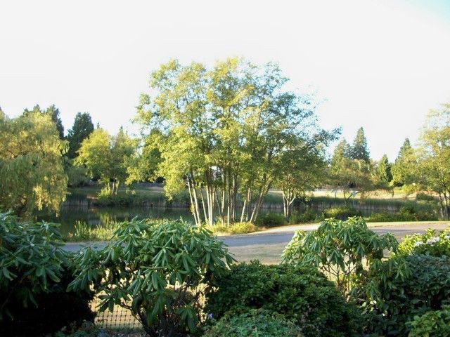 Englesea - photo 3 of 8