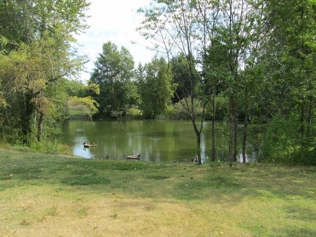 Englesea - photo 4 of 8