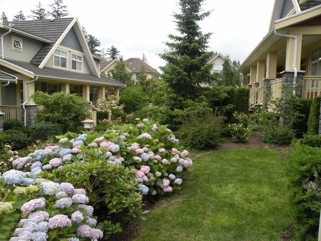 Ferngrove - photo 4 of 5