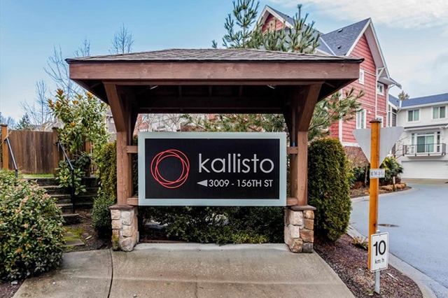 Kallisto - photo 2 of 4
