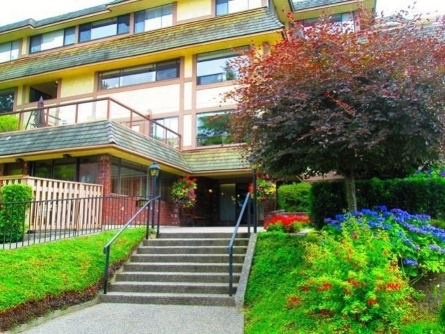 Kingfisher - photo 2 of 3