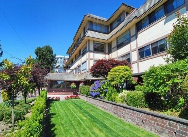 Kingfisher - photo 3 of 3