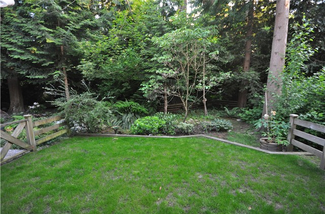 Kumaken - photo 3 of 4