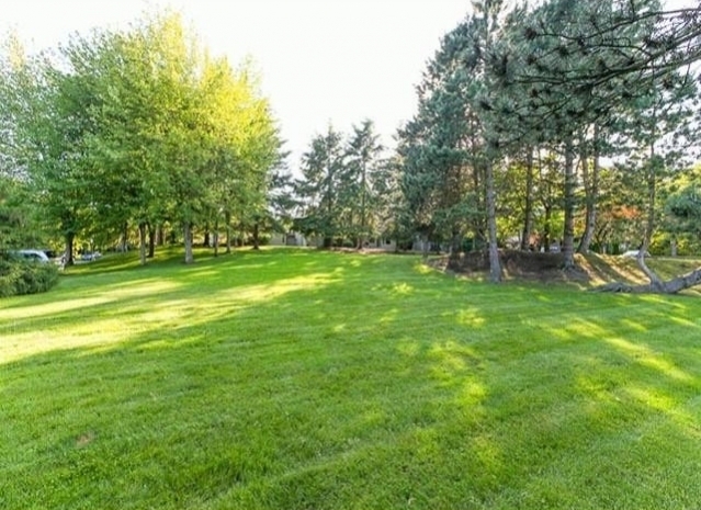 Lilac Green - photo 2 of 6