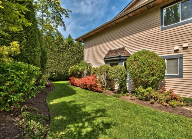 Lilac Green - photo 4 of 6