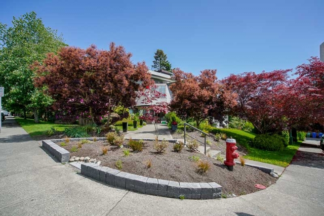 Monterey on Thrift - photo 3 of 5