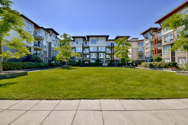 Morgan - photo 2 of 18