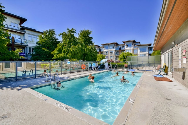 Morgan - photo 4 of 18