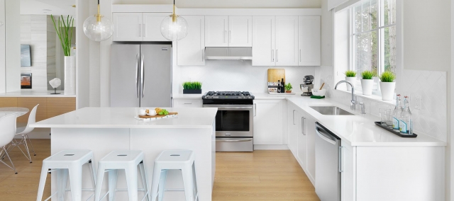 Oliver - photo 2 of 10