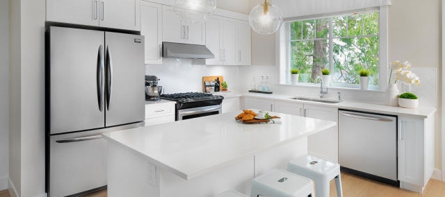 Oliver - photo 3 of 10