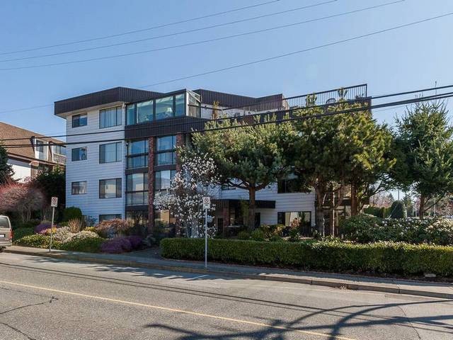 Patrician - photo 4 of 4