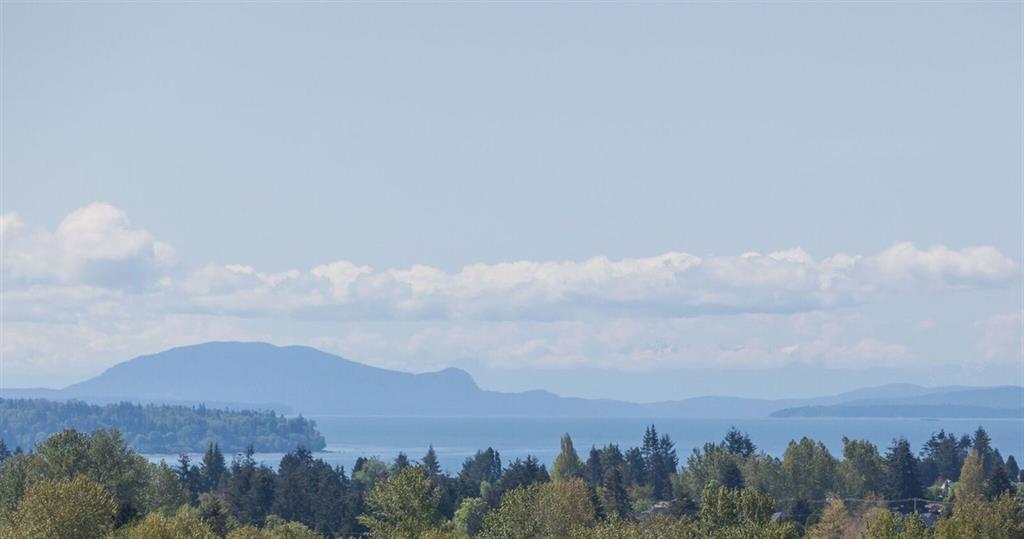 Quinn - photo 2 of 18