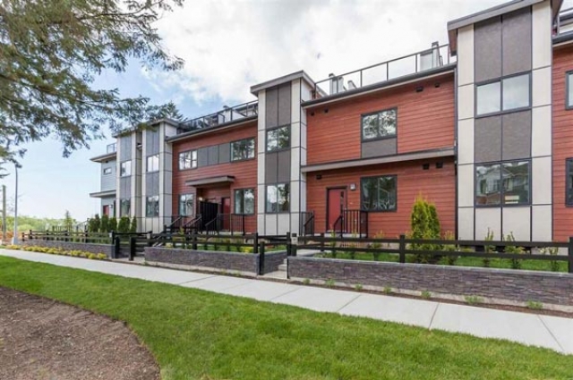 Quinn - photo 3 of 18