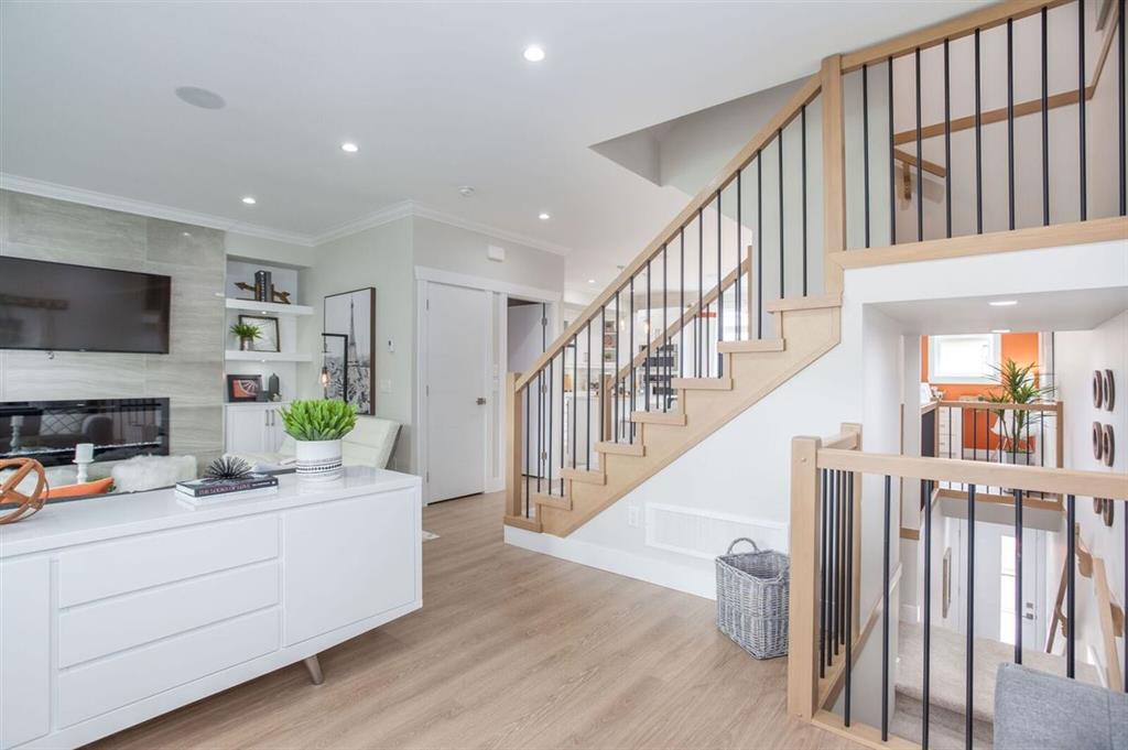 Quinn - photo 4 of 18