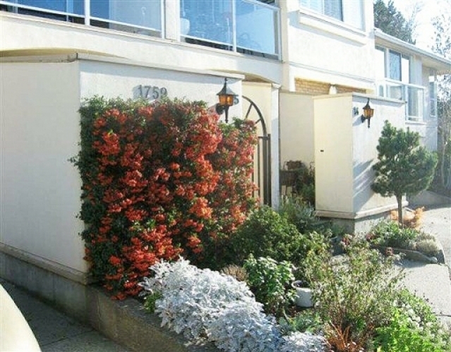 San Juan Gate - photo 4 of 7