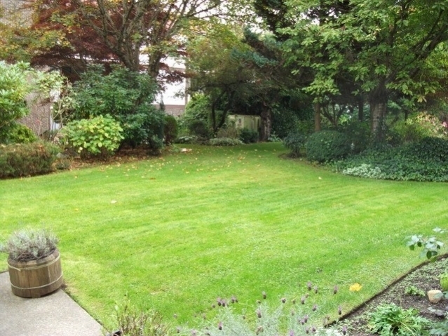 Sandhurst on Vidal - photo 3 of 6