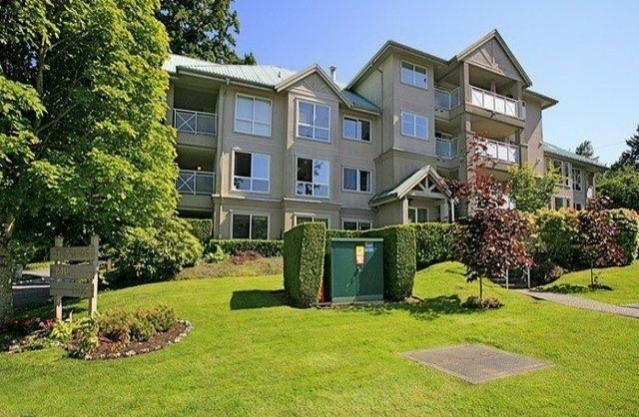 Sands - photo 4 of 20