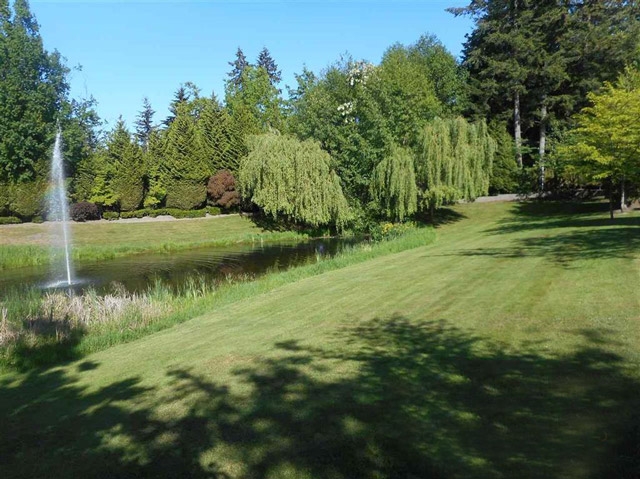 Silver Pond - photo 3 of 4