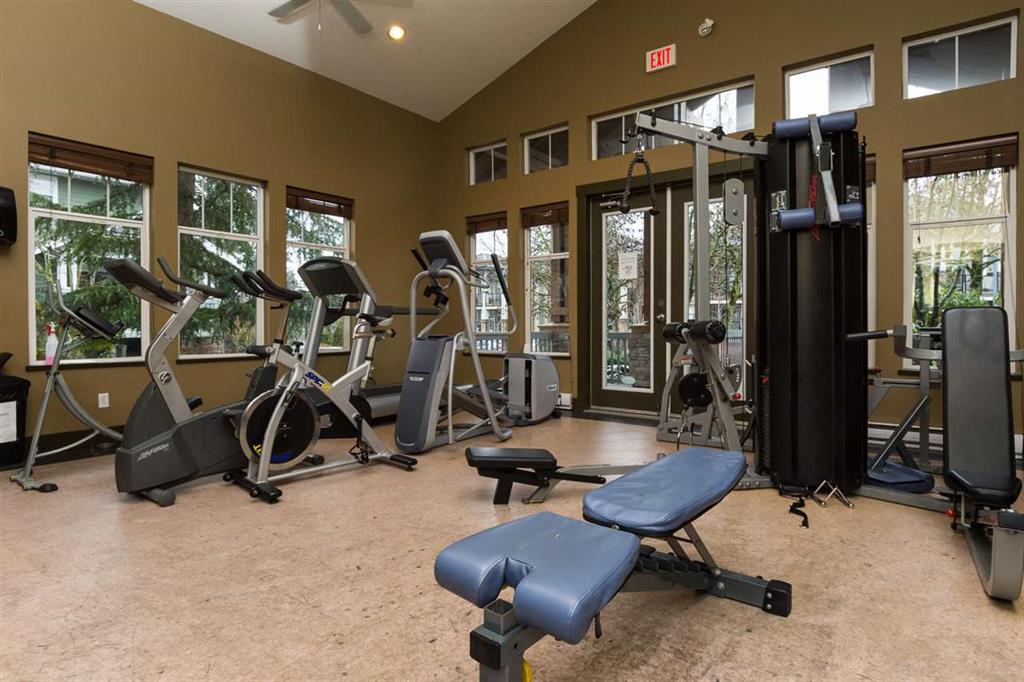 Solay - photo 4 of 14