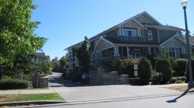 Solay - photo 2 of 14