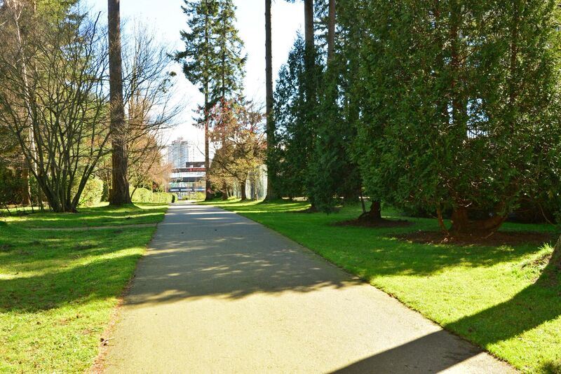 Spinnaker - photo 3 of 7