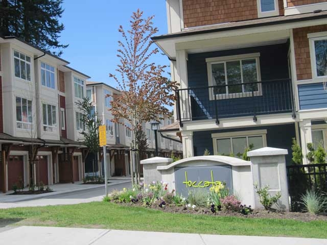 Toccata - photo 2 of 13